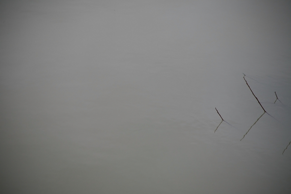 l eau vu dans l'appareil de viviane Zenner, photographe