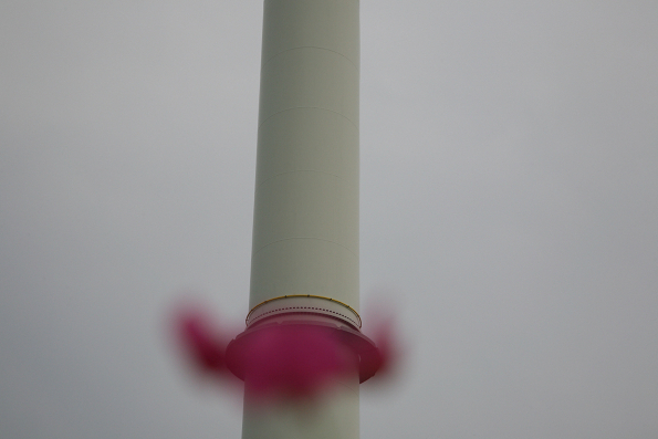 eole rose, photographie de Viviane ZENNER