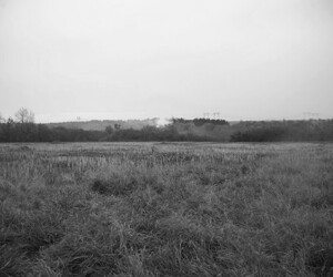 collection "de ces matins là" , photographie de Viviane Zenner